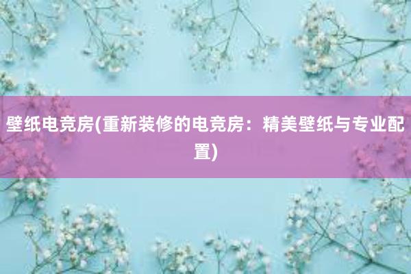 壁纸电竞房(重新装修的电竞房：精美壁纸与专业配置)