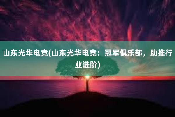 山东光华电竞(山东光华电竞：冠军俱乐部，助推行业进阶)