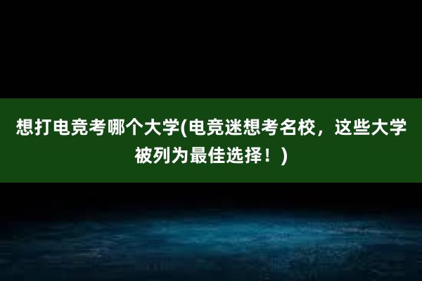 想打电竞考哪个大学(电竞迷想考名校，这些大学被列为最佳选择！)