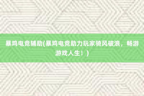 暴鸡电竞辅助(暴鸡电竞助力玩家骑风破浪，畅游游戏人生！)