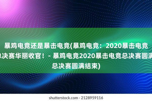 暴鸡电竞还是暴击电竞(暴鸡电竞：2020暴击电竞全球总决赛华丽收官！- 暴鸡电竞2020暴击电竞总决赛圆满结束)