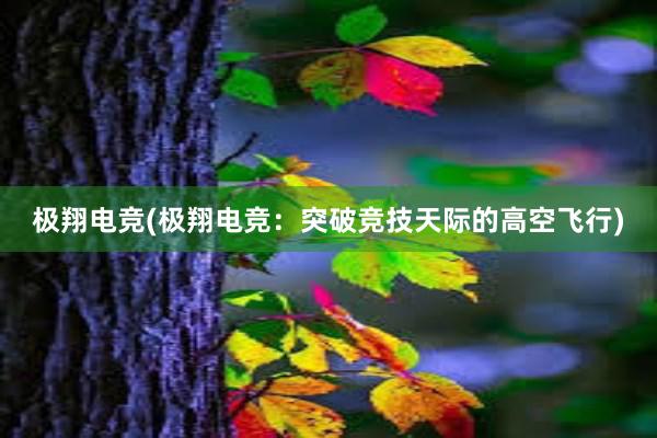 极翔电竞(极翔电竞：突破竞技天际的高空飞行)