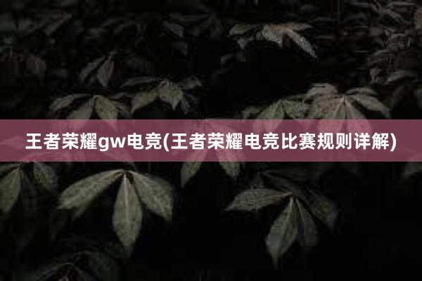 王者荣耀gw电竞(王者荣耀电竞比赛规则详解)