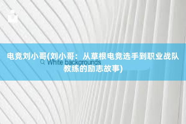 电竞刘小哥(刘小哥：从草根电竞选手到职业战队教练的励志故事)