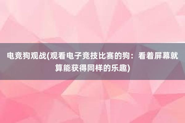 电竞狗观战(观看电子竞技比赛的狗：看着屏幕就算能获得同样的乐趣)