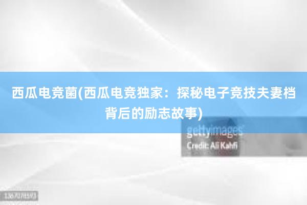 西瓜电竞菌(西瓜电竞独家：探秘电子竞技夫妻档背后的励志故事)