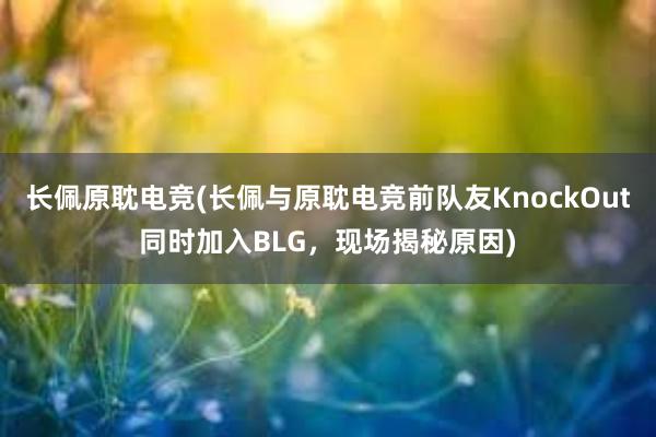 长佩原耽电竞(长佩与原耽电竞前队友KnockOut同时加入BLG，现场揭秘原因)