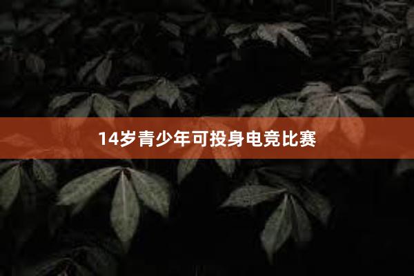 14岁青少年可投身电竞比赛