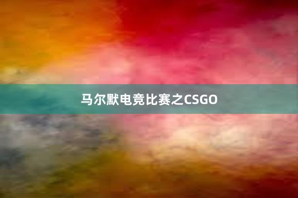 马尔默电竞比赛之CSGO