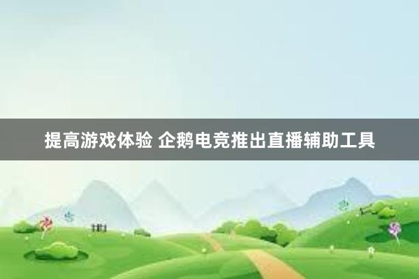 提高游戏体验 企鹅电竞推出直播辅助工具