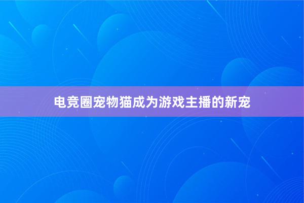 电竞圈宠物猫成为游戏主播的新宠