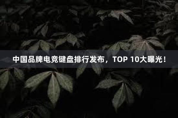 中国品牌电竞键盘排行发布，TOP 10大曝光！