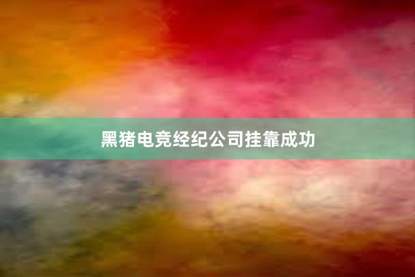 黑猪电竞经纪公司挂靠成功